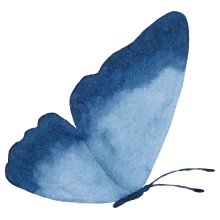 Chiropractic Slinger WI Blue Butterfly