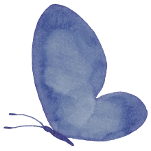 Chiropractic Slinger WI Butterfly Blue